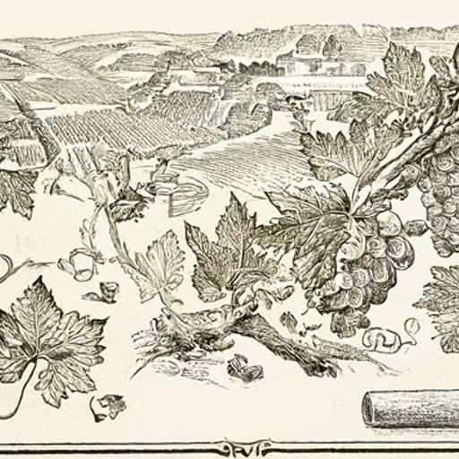 Bourgogne-Franche-Comté